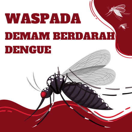WASPADAI DEMAM BERDARAH DENGUE (DBD)